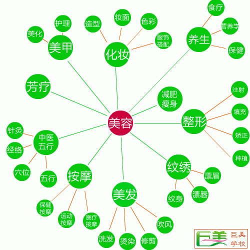 美容行業關系圖