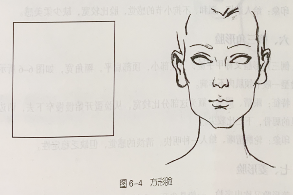 臉型分類與特征——圓形與方形臉