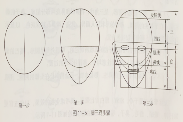 發型素描—面部五官定位