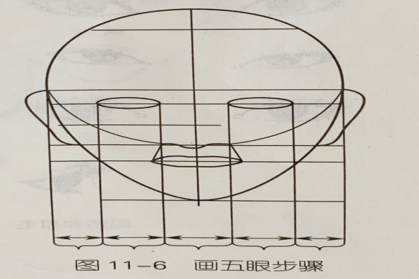 發型素描—面部五官定位