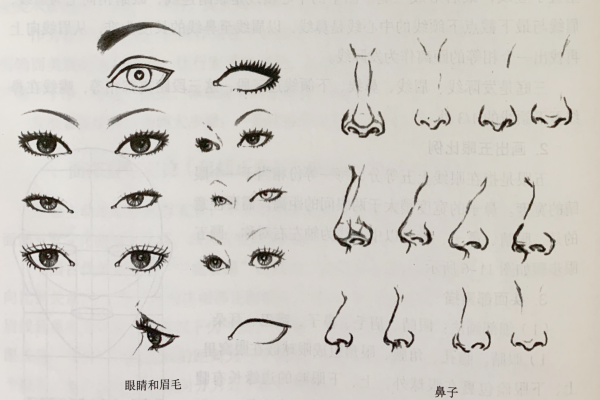 發型素描—頭面部素描