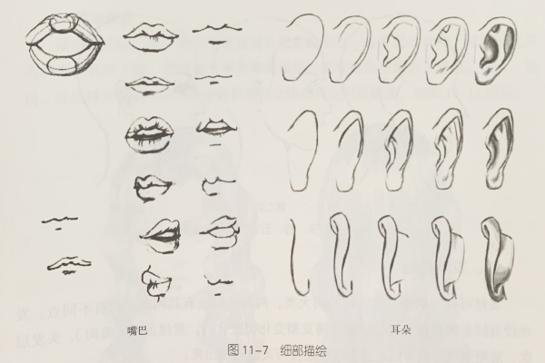 發型素描—頭面部素描