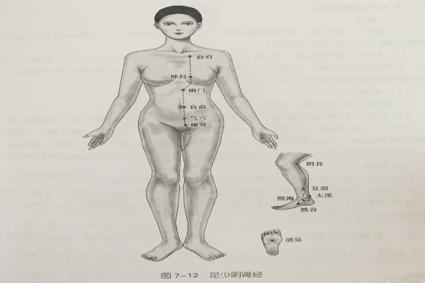 經絡腧穴—足少陰腎經